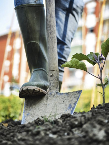 Landscaping HTML template